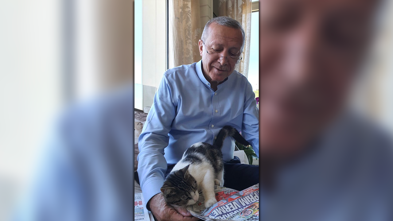 Erdoğan, Pıt Pıt Şeker ile gazete okuyor