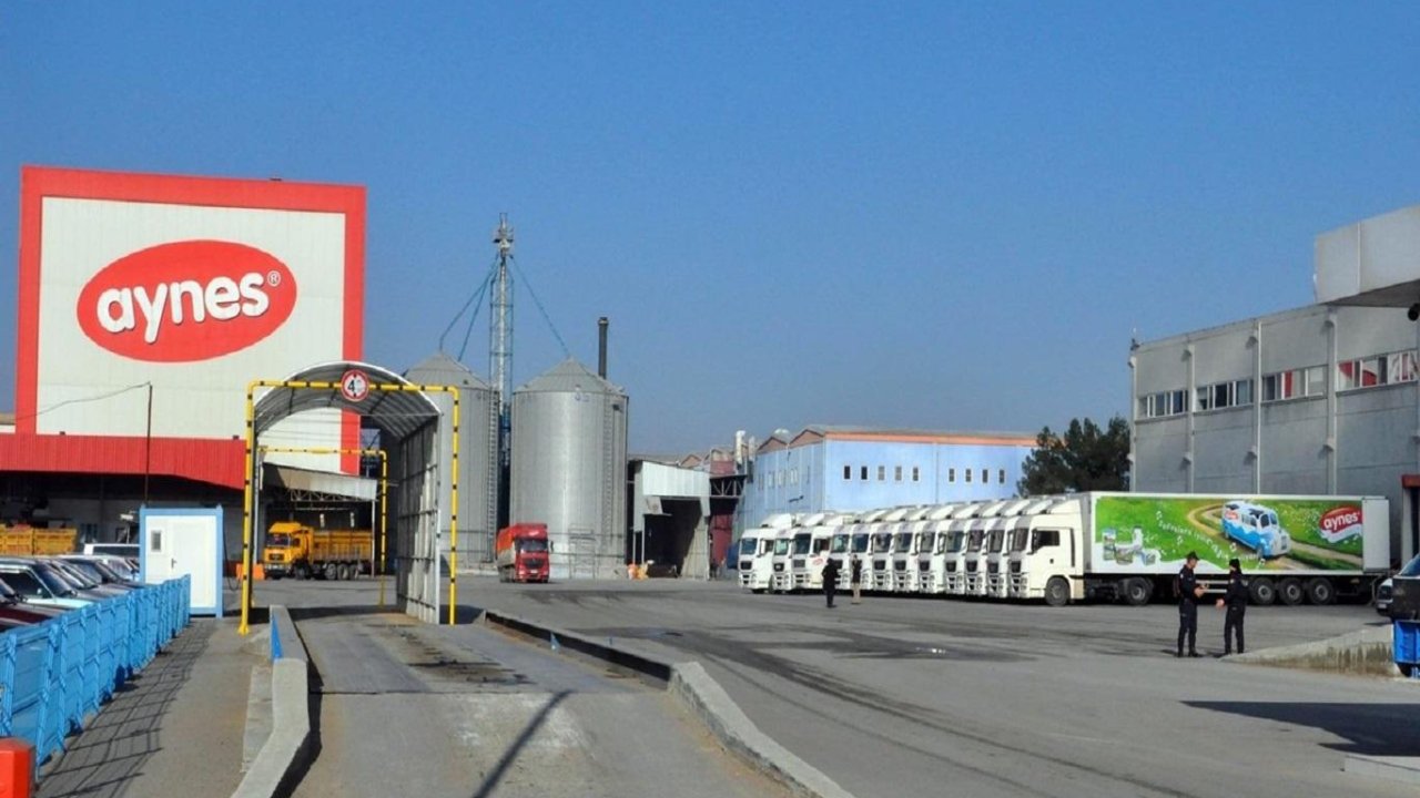 FETÖ soruşturması kapsamında kayyum atanmıştı... 2015'te 203 milyon euro değer biçilen Aynes, TMSF tarafından 