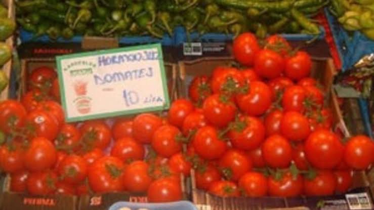 Domatesin kilosu 10 liraya çıktı!