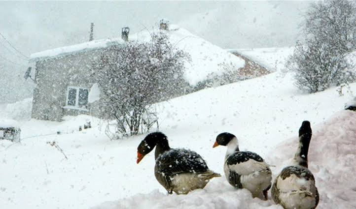 Sıcaklıklar düşüyor, Meteoroloji’den 5 şehre kar uyarısı