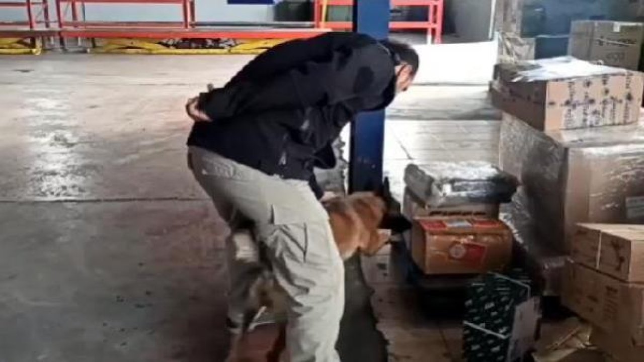 Kargo paketinde uyuşturucu