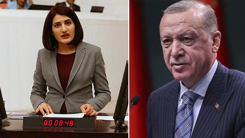 Erdoğan'dan Semra Güzel açıklaması: Böyle bir sözde milletvekilinin parlamentomuzda olması bizim için bir kara