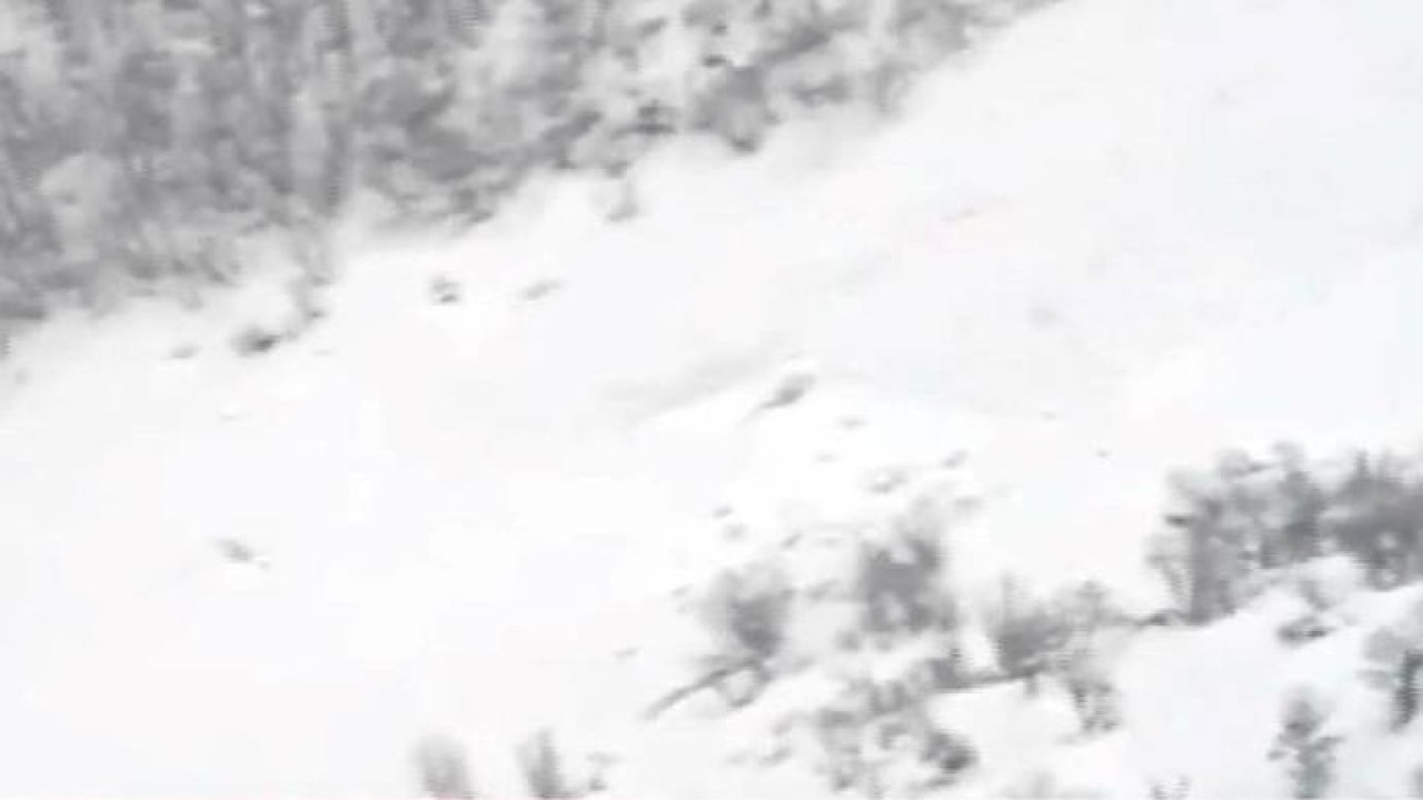 Erzurum’da düşen çığda 2 kişi hayatını kaybetti