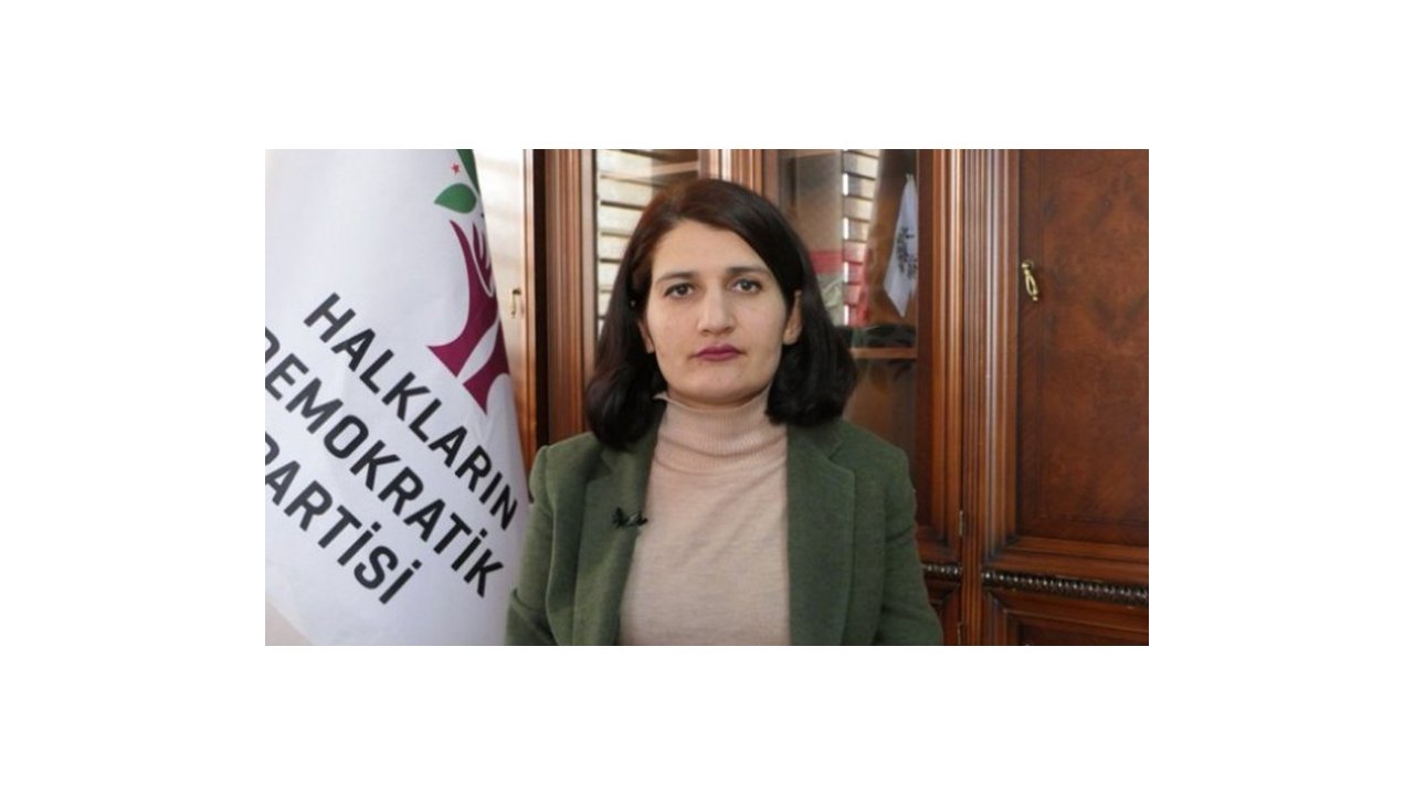 Hazırlık Komisyonu, HDP'li Güzel'in sözlü savunması için tekrar toplanacak