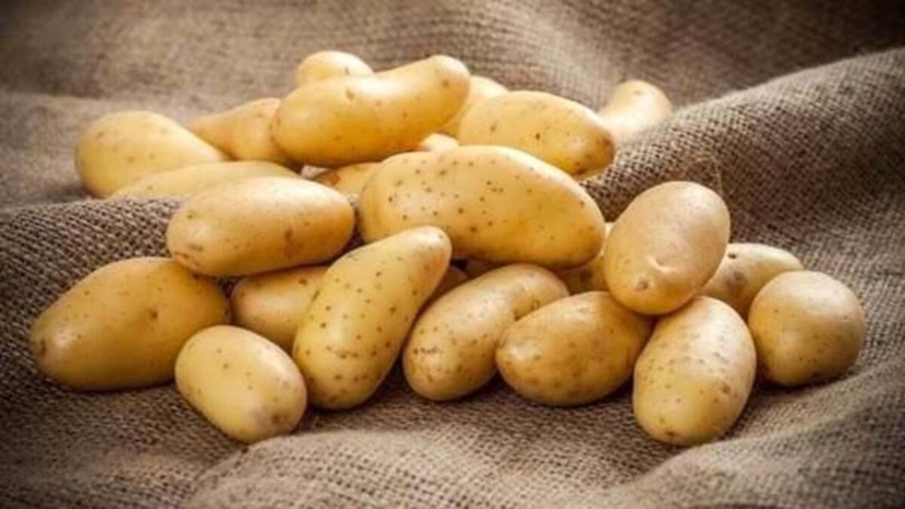 Patatesin faydaları ve zararları nelerdir? Patates neye iyi gelir?