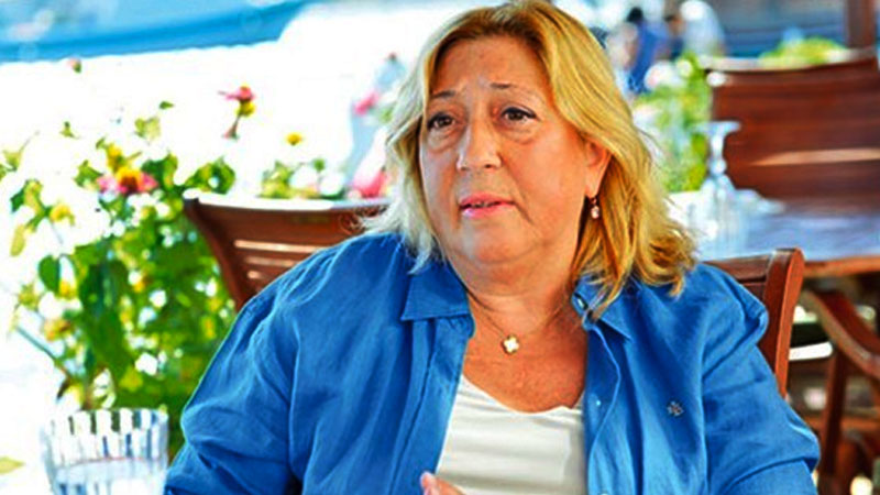 Eski AİHM Başkan Yardımcısı Karakaş: Cumhurbaşkanı'nın şu andaki ifadesi, yürüyen prosedür açısından erken değ