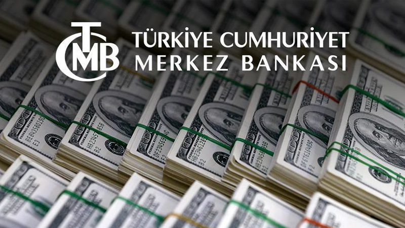 Merkez Bankası'ndan BOTAŞ'a rekor döviz satışı