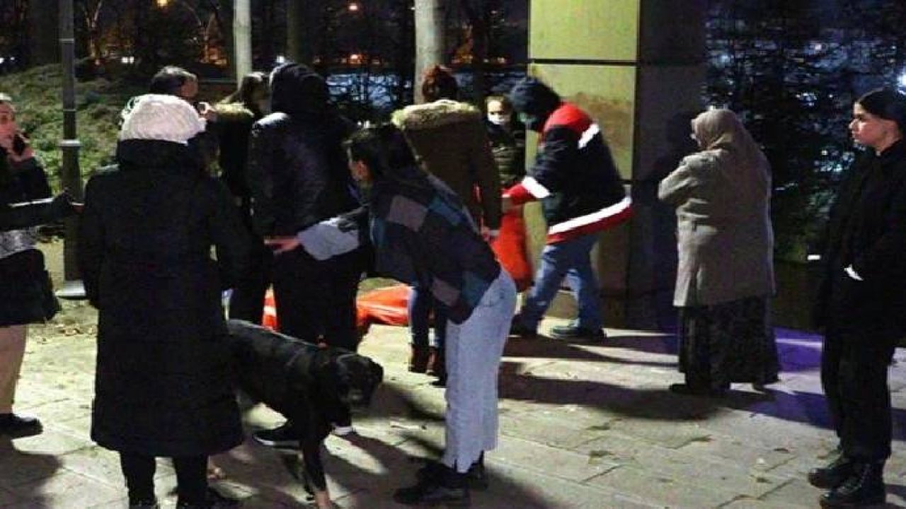 Ankara'da 8 yavru köpek ölü bulundu