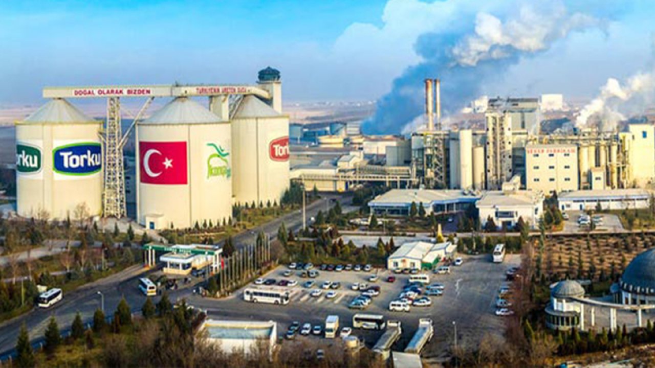 BAE, Anadolu Birlik Holding'i satın alacak