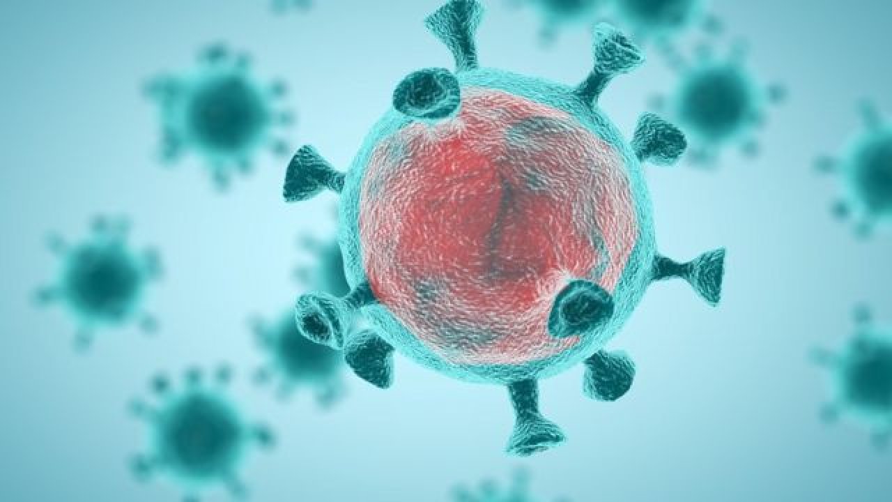 Dünya genelinde Kovid-19 vakalarının sayısı 500 milyonu geçti