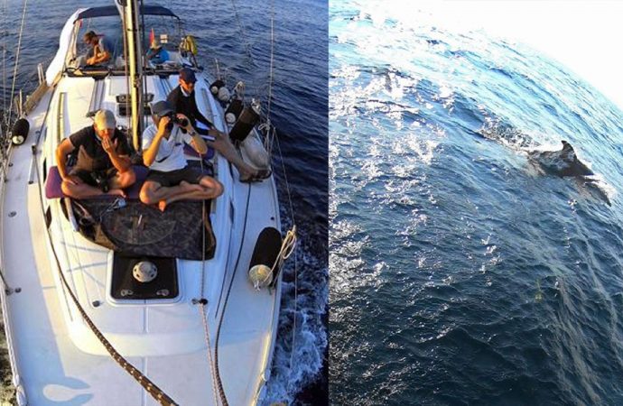 Marmara Denizi’nde yunustan çok çöp çıktı!