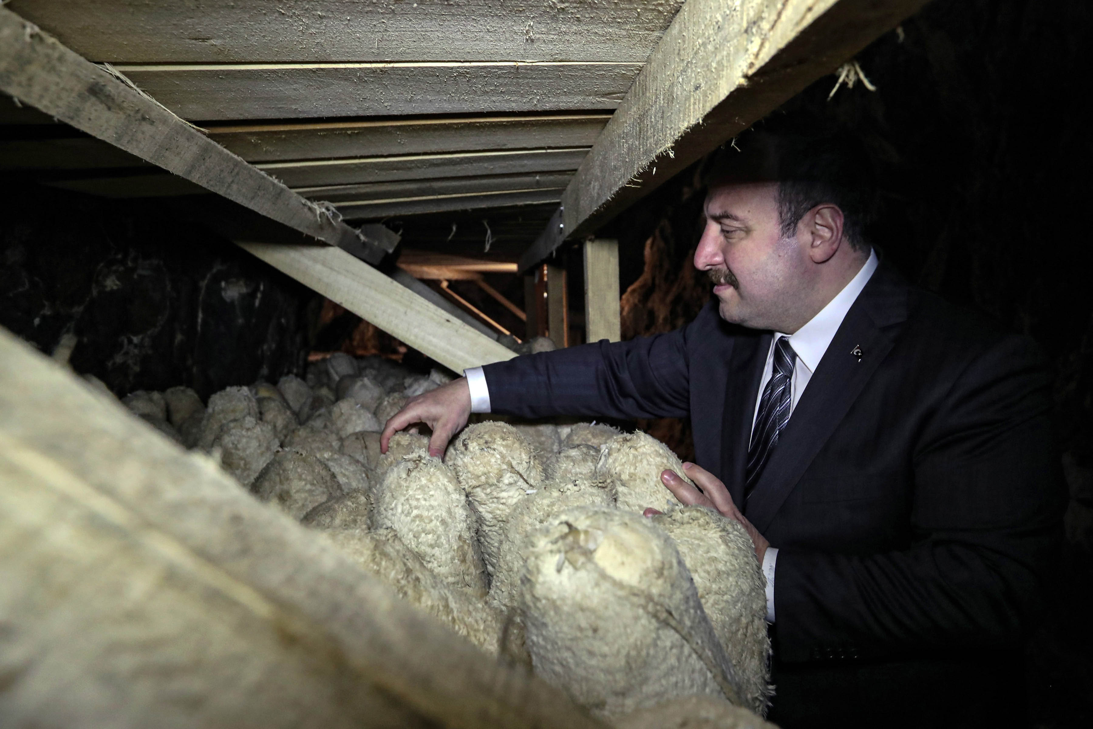 Bakan Varank Karaman'da: Varank, mağarada üretilen Divle obruk peynirine inceledi