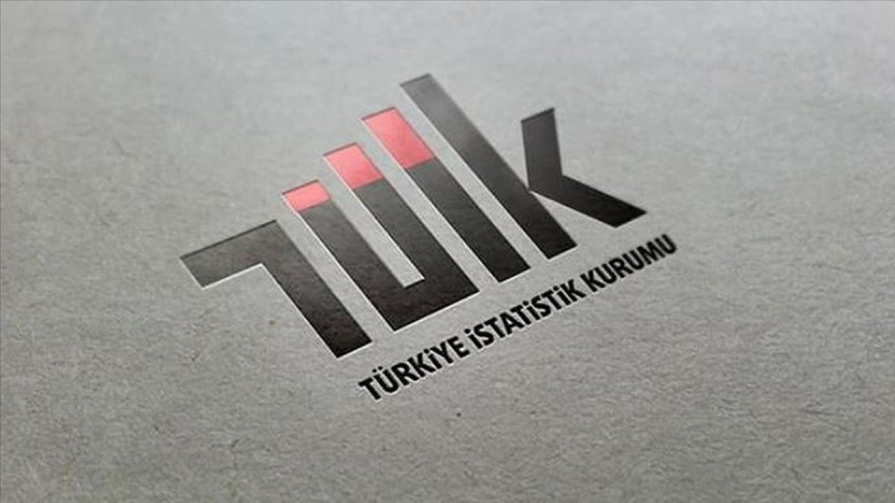 TÜİK'e yeni başkan yardımcısı atandı