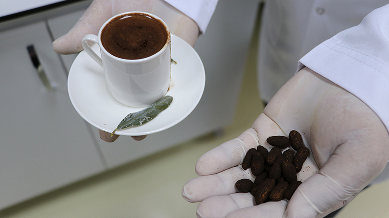 Zeytin çekirdeğinden Türk kahvesi üretildi: Bitkisel ve kafeinsiz