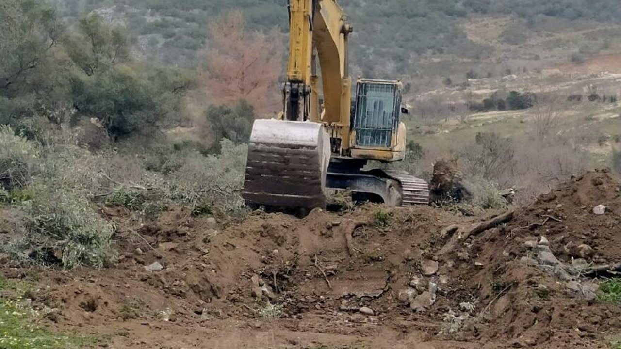 Danıştay zeytinlik katliamına dur dedi
