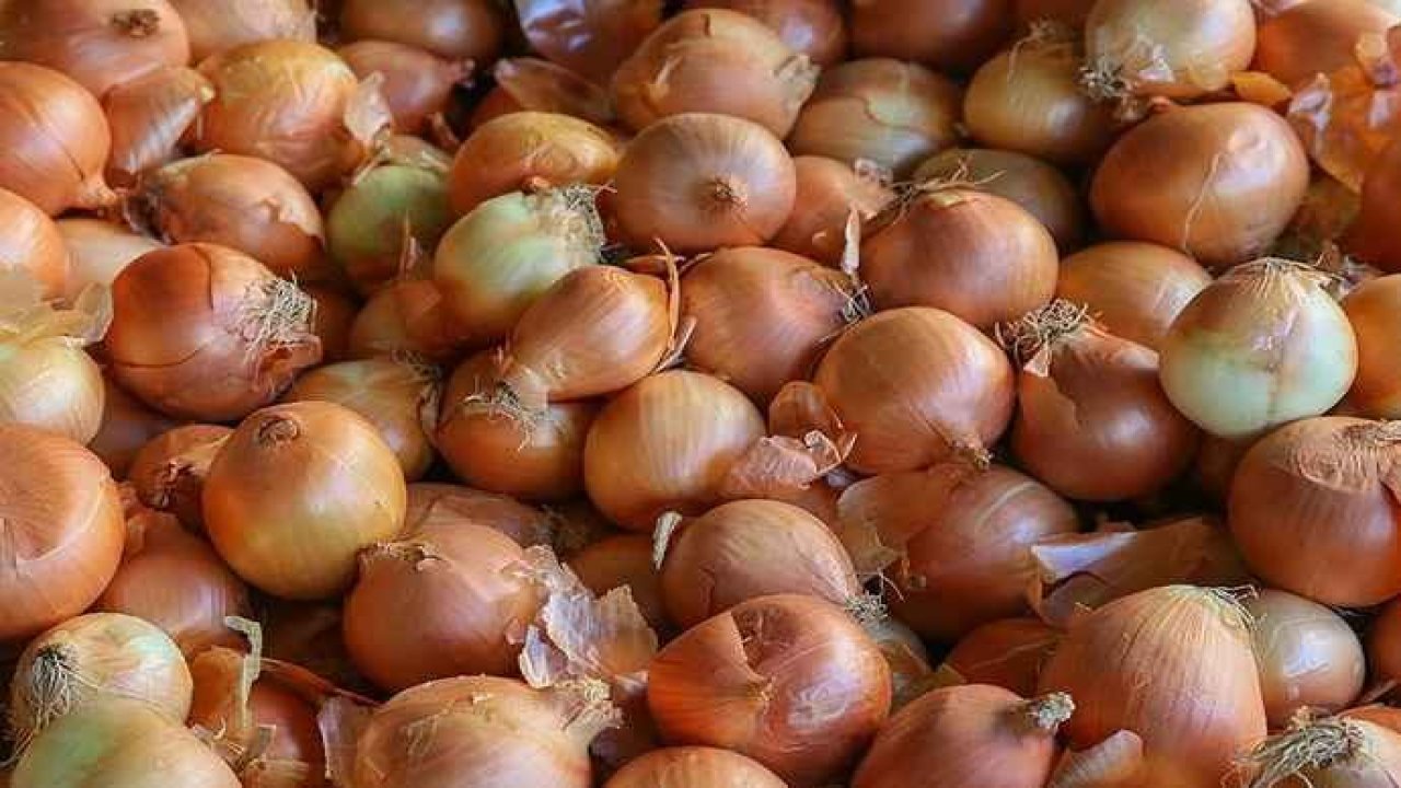 Zam şampiyonu soğan