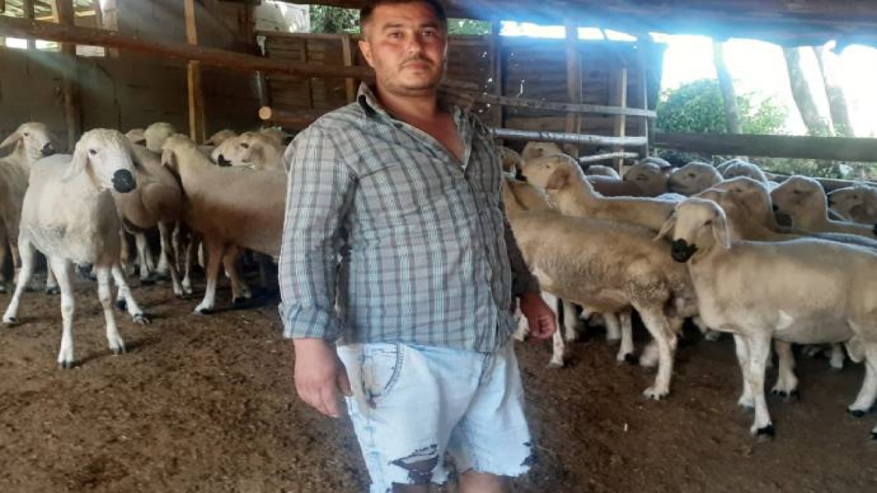 Besici isyanda / Ne yedirelim bu hayvanlara!