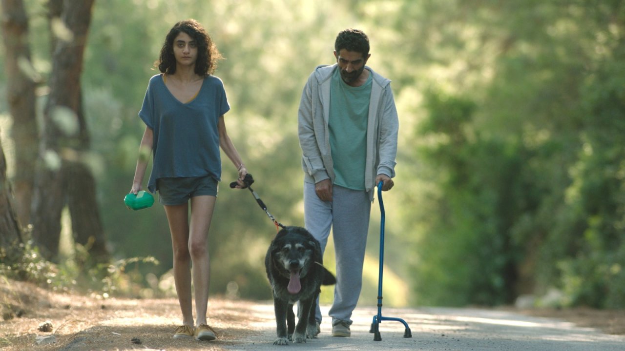 Frankfurt Türk Film Festivali dolu dolu programla geliyor