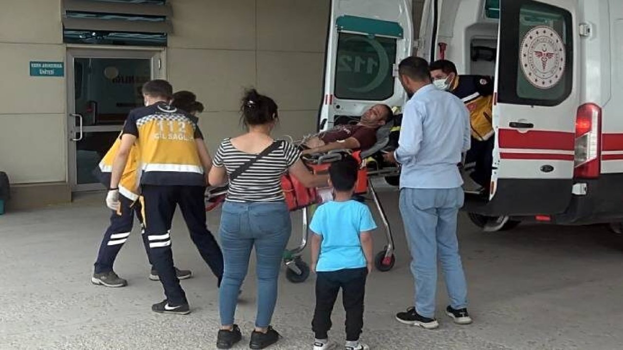 Arıların saldırısı sonucu hastanelik oldu