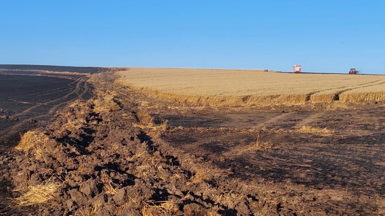 Tekirdağ'da 100 dönüm buğday tarlası yandı