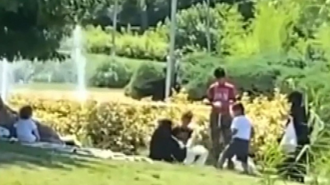 Başakşehir'de göletteki kazların çalındığı iddiasına emniyetten açıklama