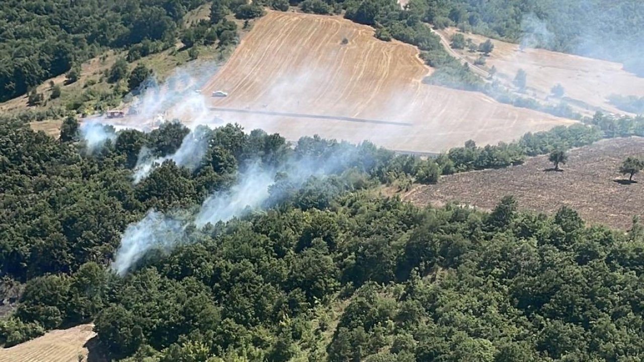 Bursa'da orman yangını