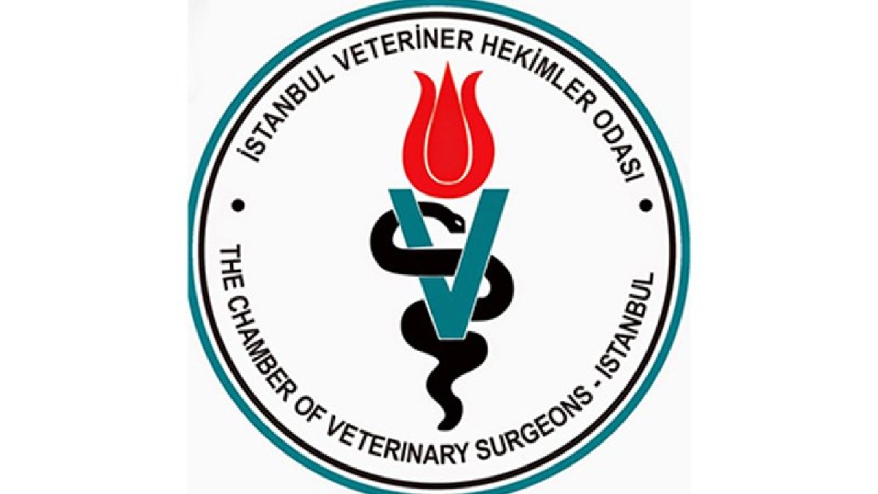 İstanbul Veteriner Hekimler Odası'ndan 'Petshop' haberlerine ilişkin açıklama