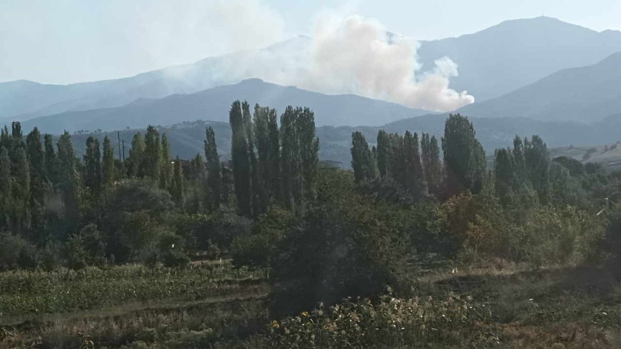 Kütahya'da orman yangını
