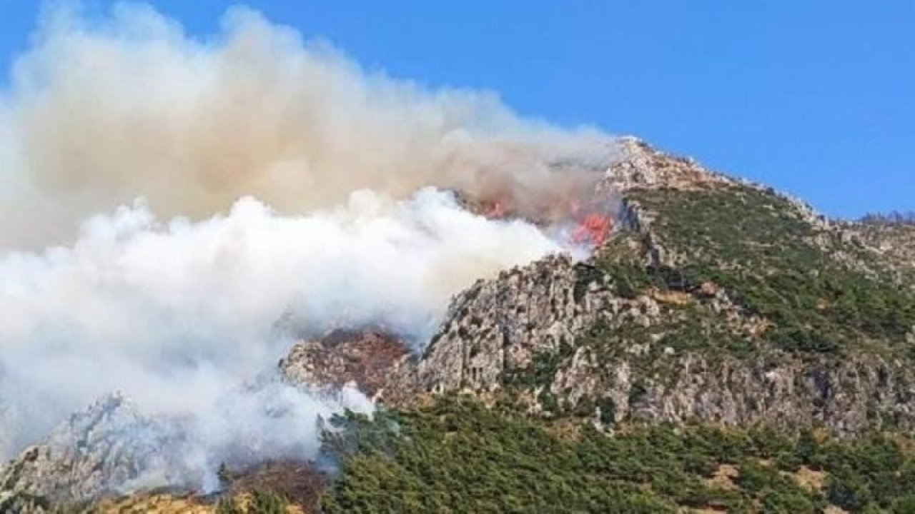 Hatay'da orman yangını