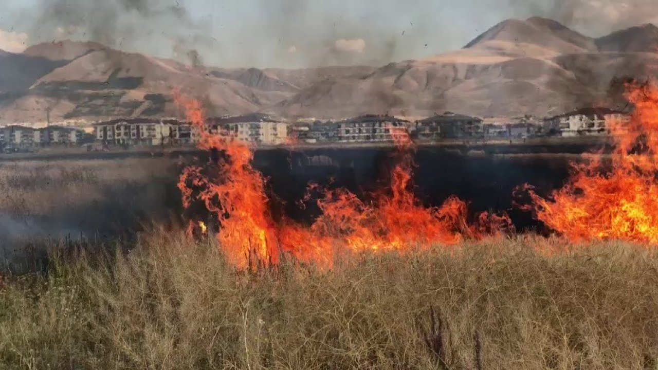Çocuklar ateşle oynadı, buğday tarlası yandı