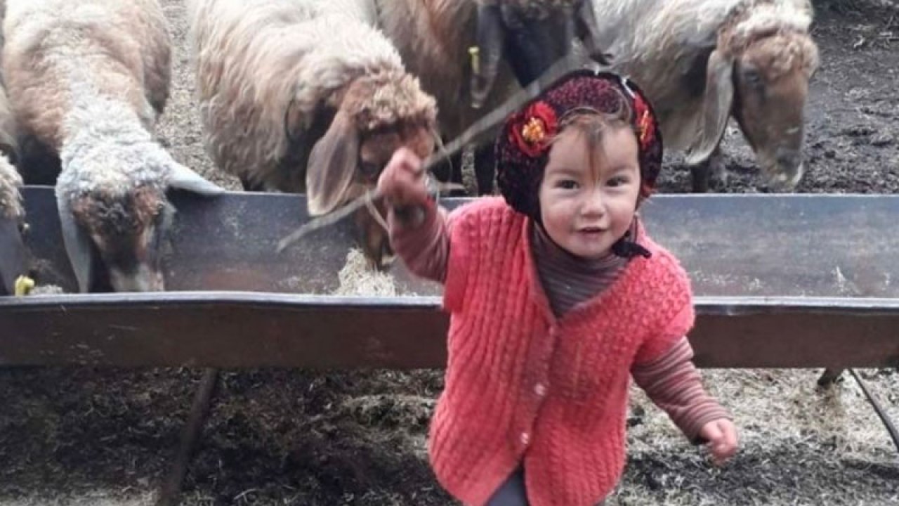 Rapor çıktı: Müslüme istismara uğradıktan sonra öldürüldü