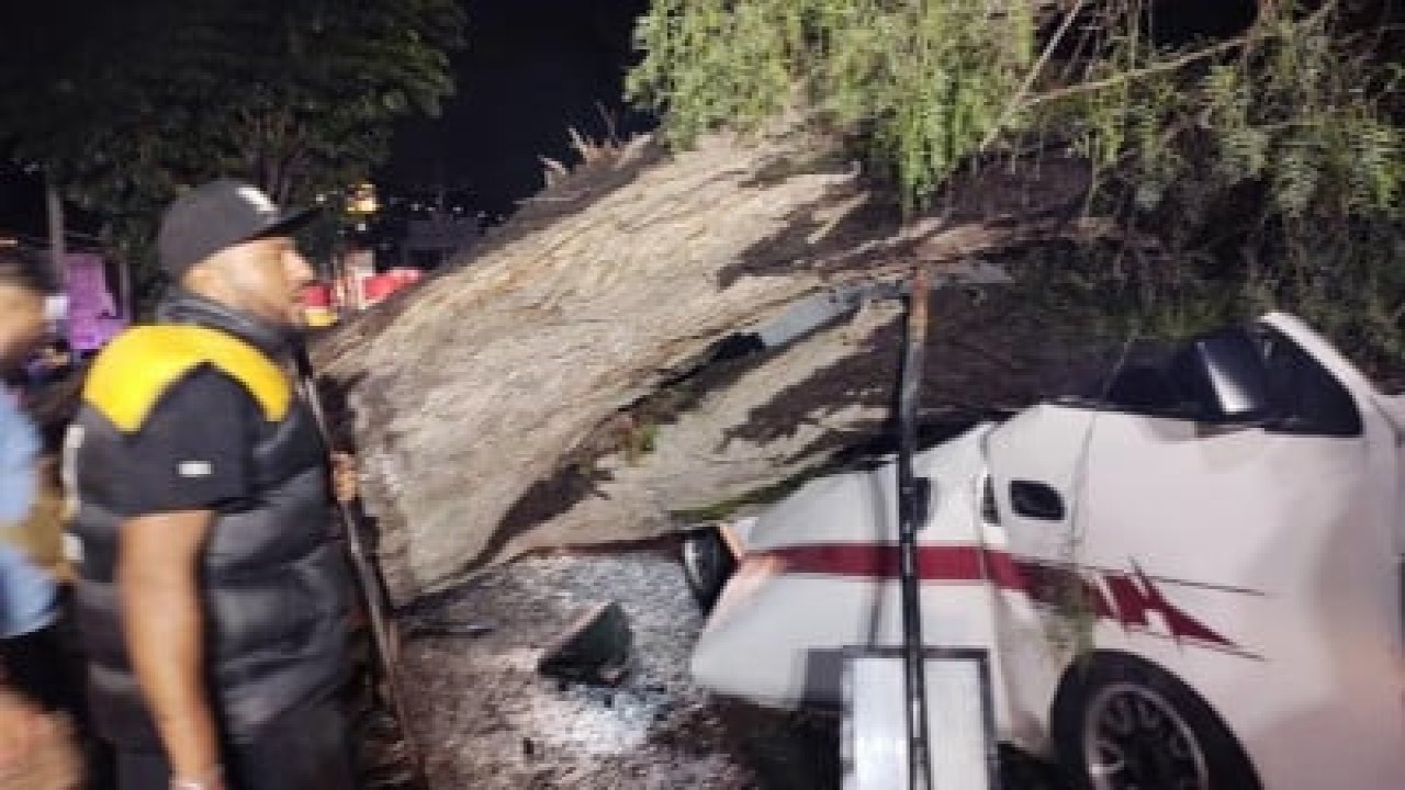 Kardeşini öldürdü, 13 yıl sonra tarlada çalışırken yakalandı