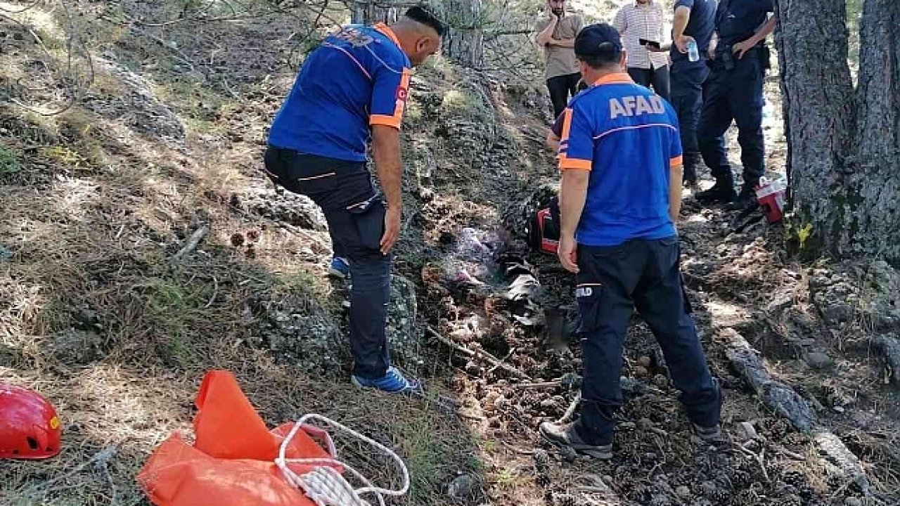 Doğa yürüyüşü yapmak için gittiği ormanda hayatını kaybetti