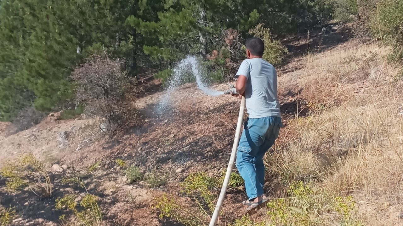 Elazığ’daki orman yangınında 20 dönüm alan zarar gördü