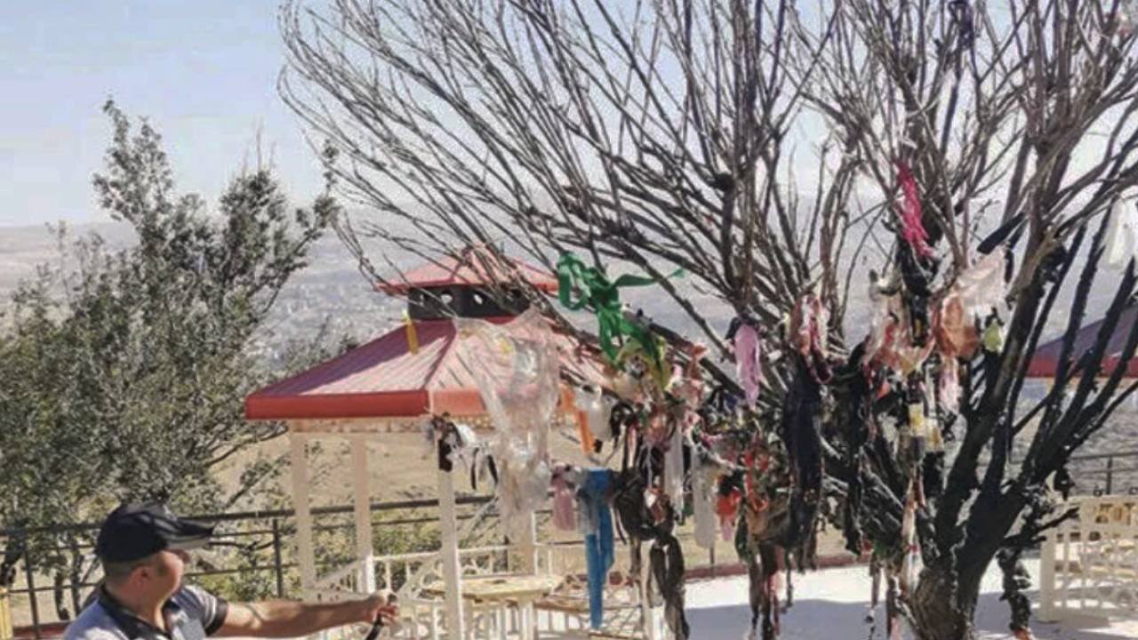 Cemevi önündeki dilek ağacı yakılmak istendi
