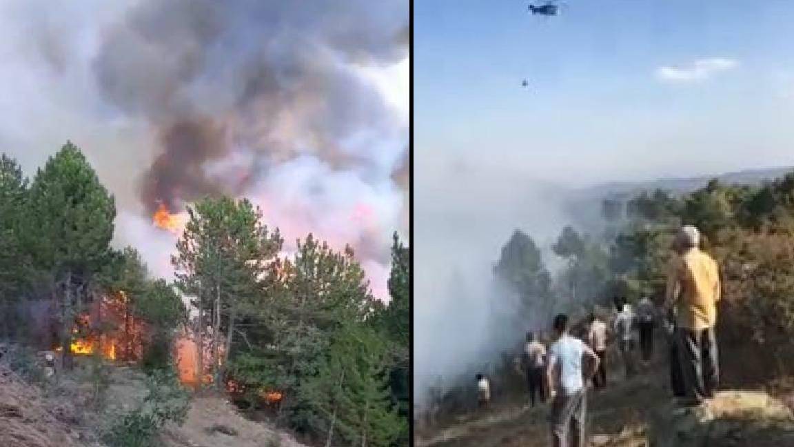 Çorum’da orman yangını