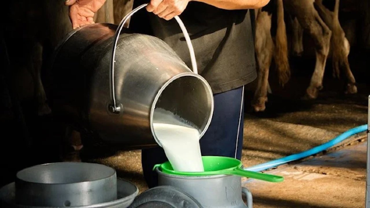 Etten sonra süt ithalatına da mecbur kalacağız