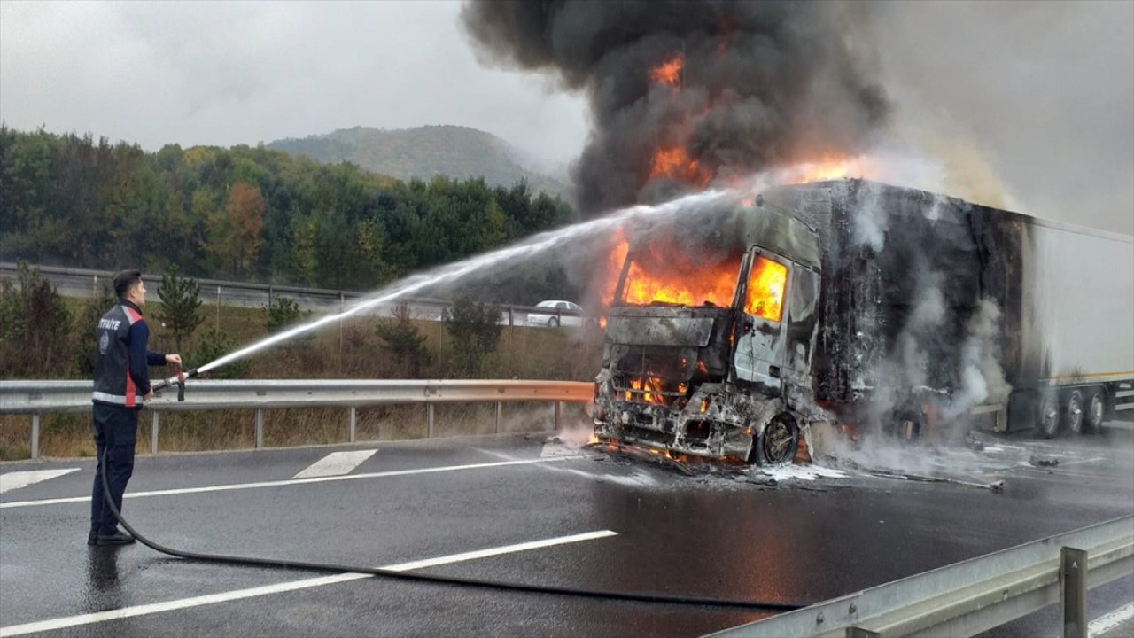 Tavuk eti taşıyan TIR yandı