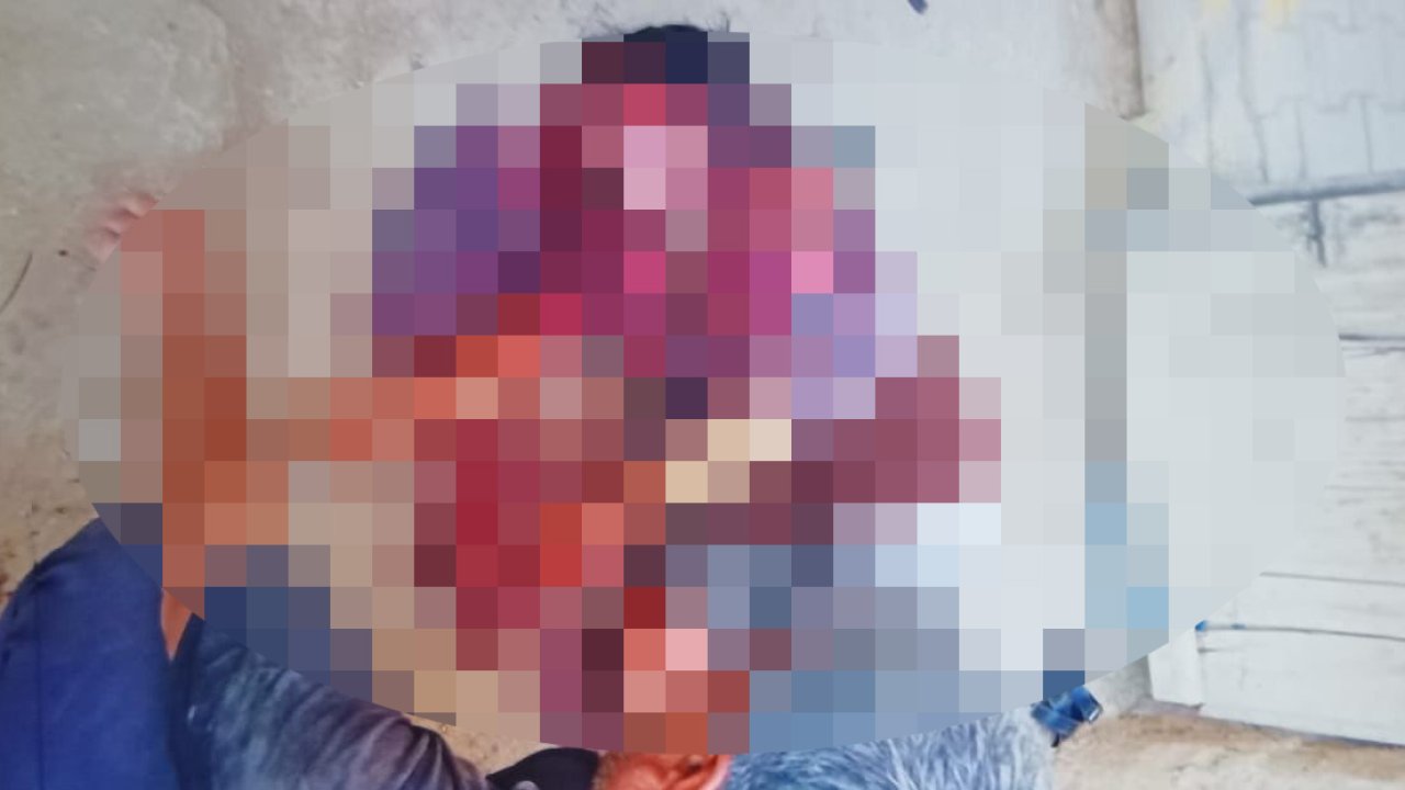 Evinin avlusunda başına sert cisimle vurulup, bıçaklanarak öldürülmüş halde bulundu