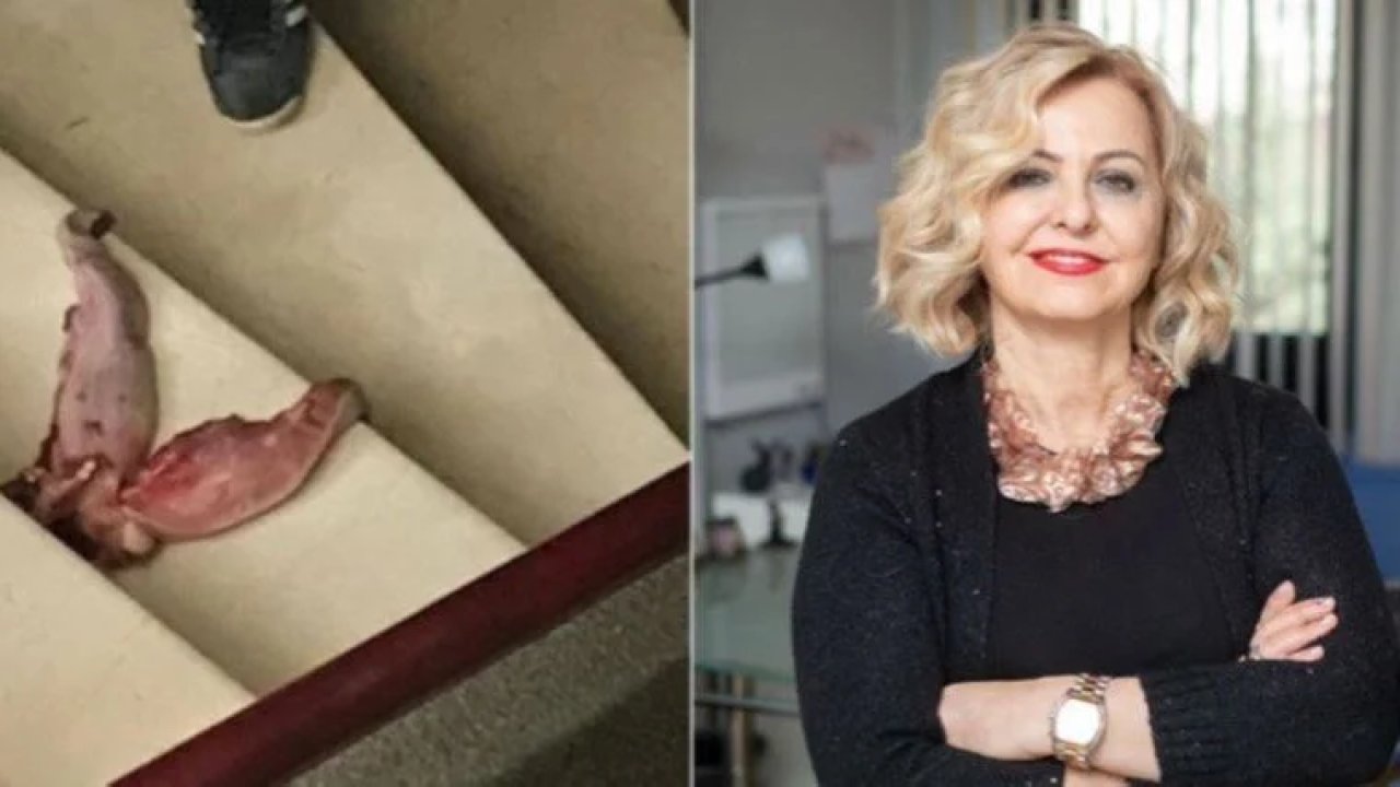 Aşı karşıtı Mustafa Yücel, Prof. Dr. Esin Davutoğlu Şenol'u tehdit etmişti: Sahte doktora koruma kararı