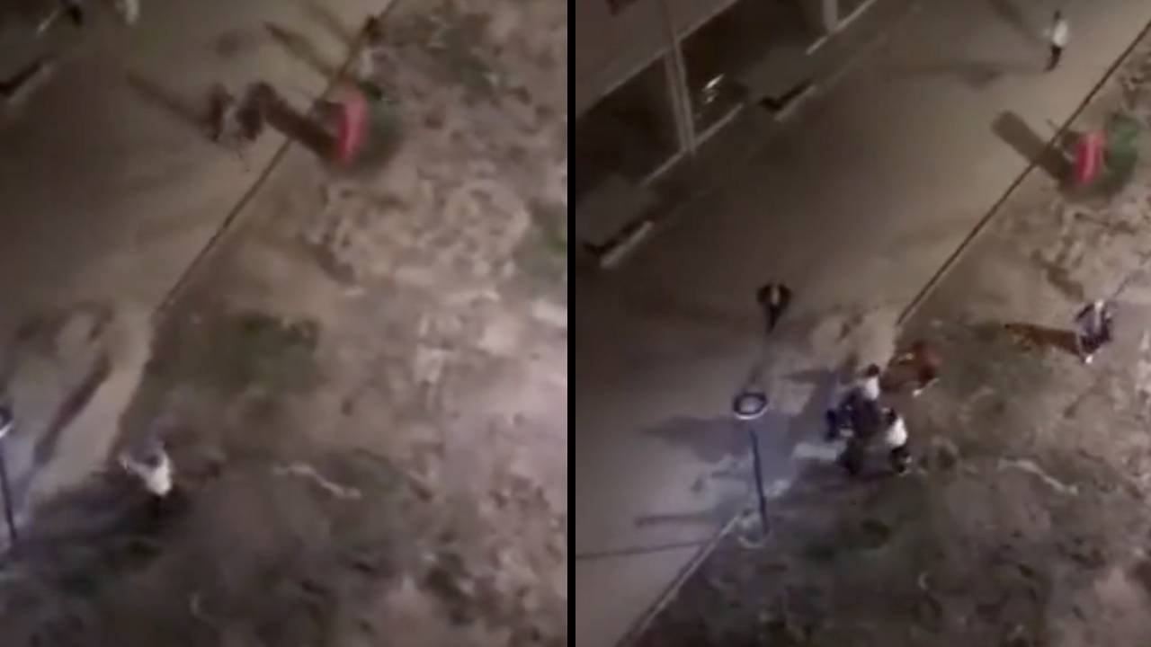Kız öğrenci yurdunda dehşet: Satırla öğrencileri kovaladı