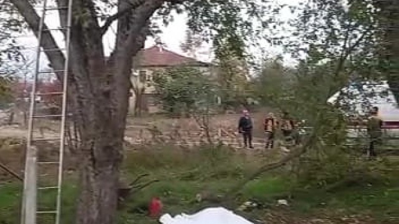 Kestiği ağaç sonu oldu
