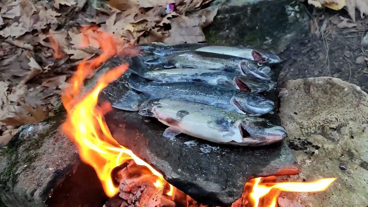 İnsanlar yemek pişirmeye ne zaman başladı? 780 bin yıl önce başladığına dair kanıt bulundu
