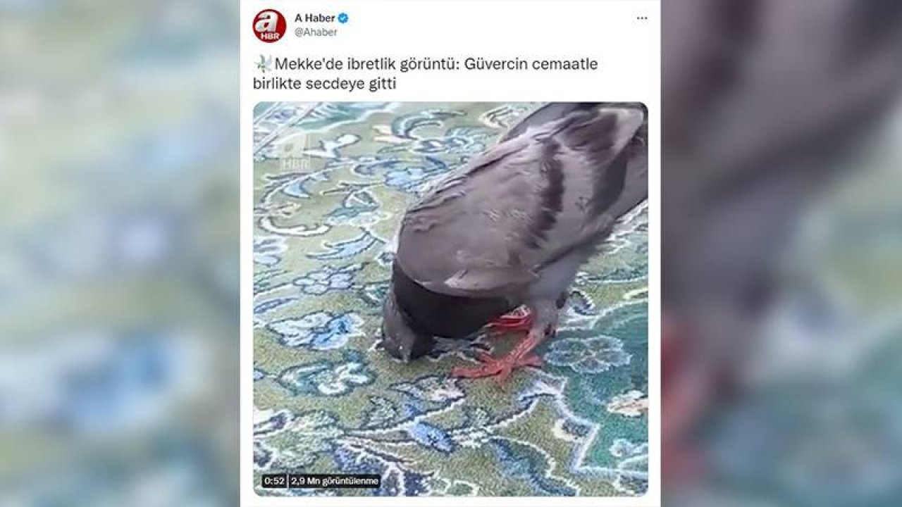 Can Ataklı: Günün en komik haberi