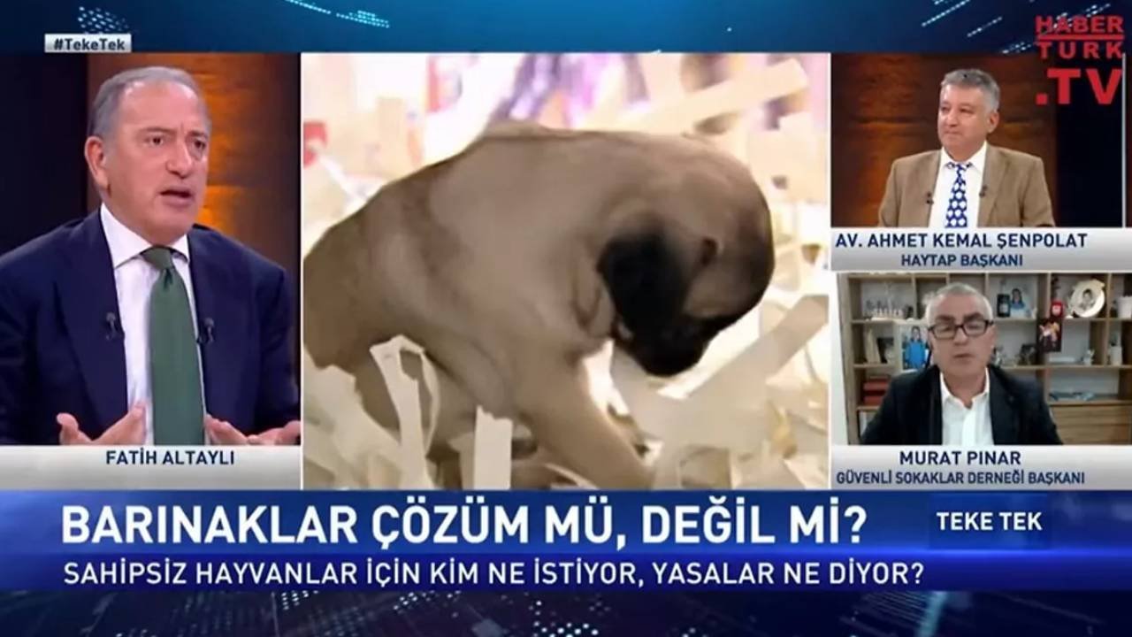 Fatih Altaylı: Beni hayvan düşmanı ilan edenlere iki çift sözüm var