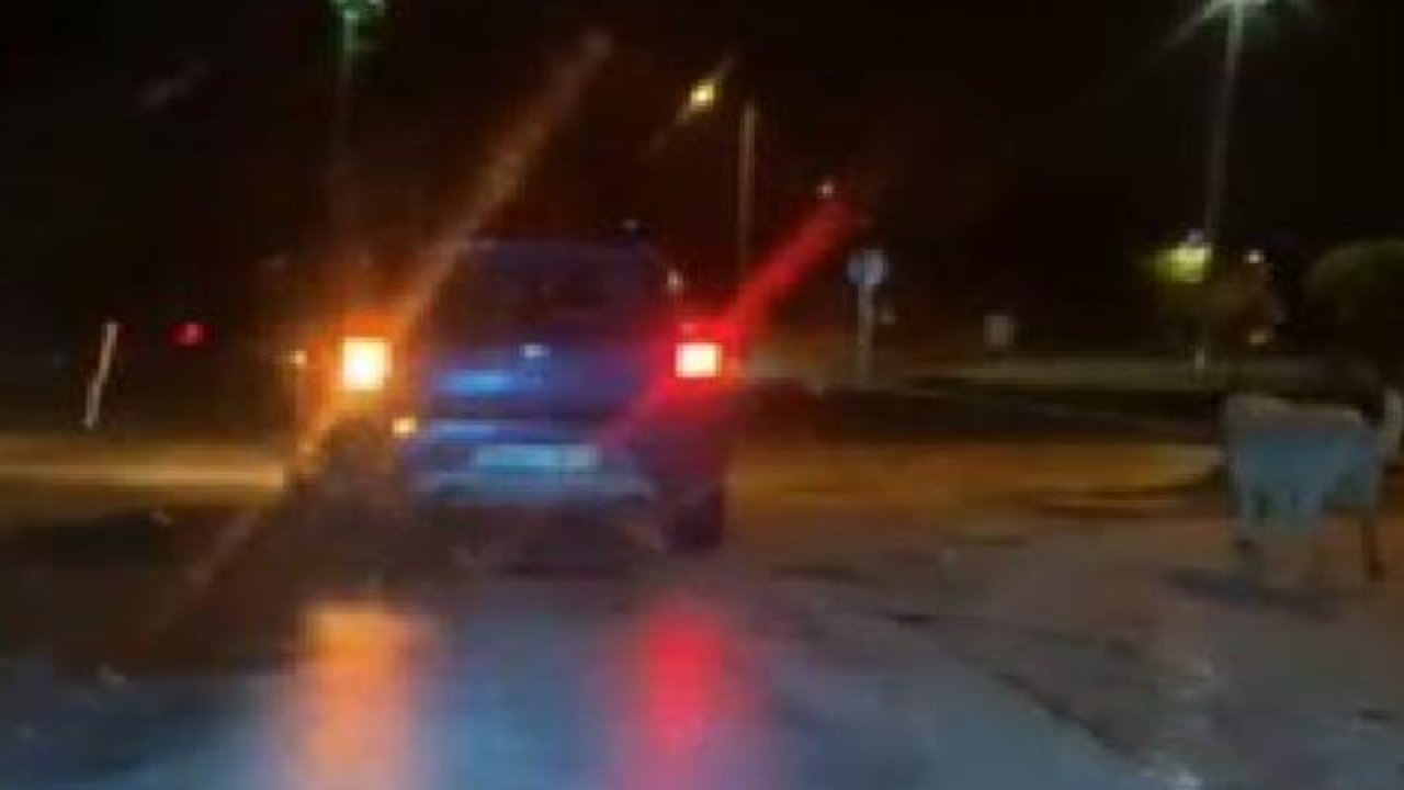 Köpeği otomobile bağlayarak eziyet eden sürücüye para cezası!