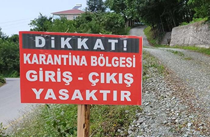 Kayseri’de şap karantinası