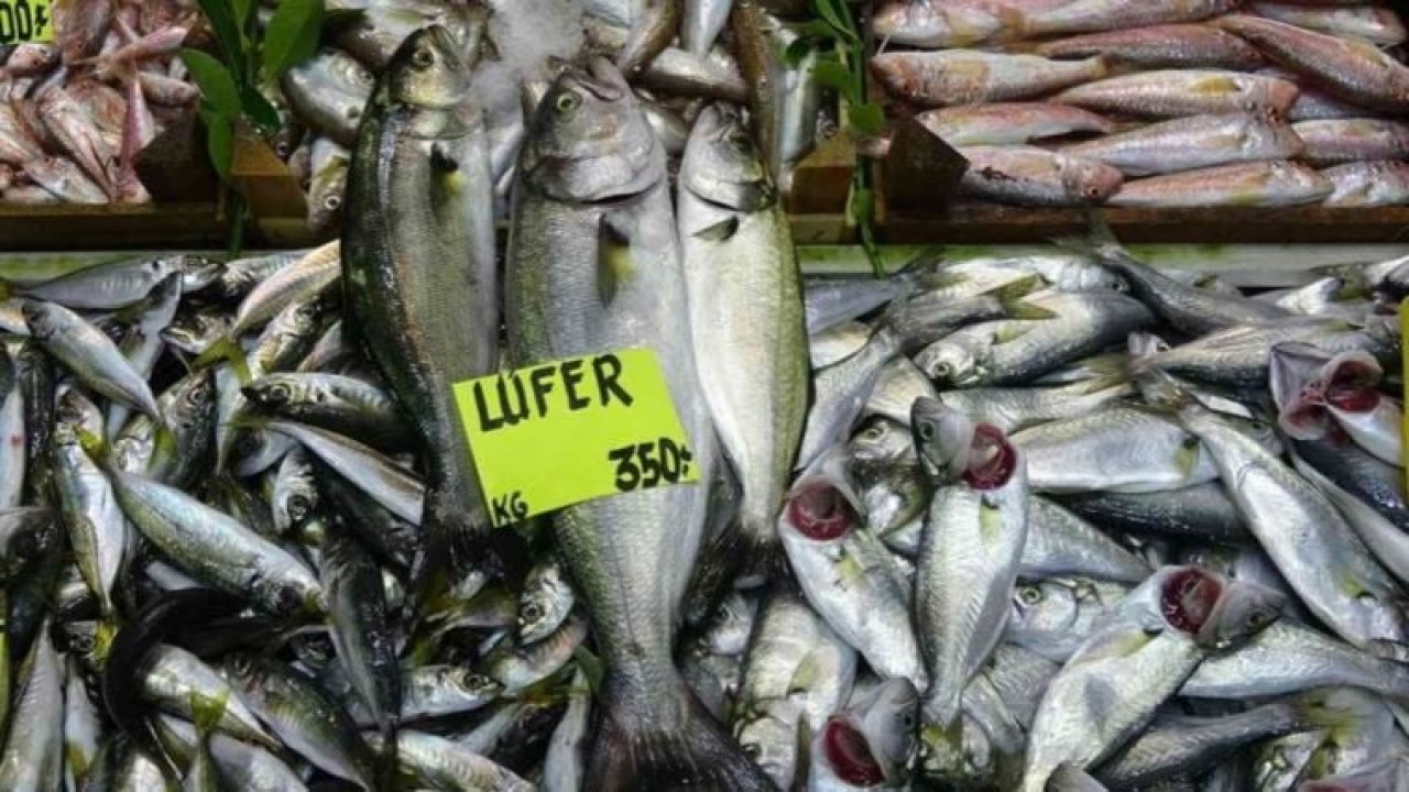 Balık tezgahlarında son durum: Lüferin kilosu 350, palamutun tanesi 80 lira