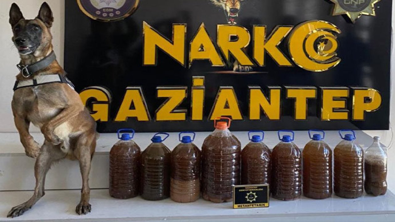 Narkotik dedektör köpeği Argos tepki verdi: 48 kilo 245 gram sentetik uyuşturucu ele geçirildi