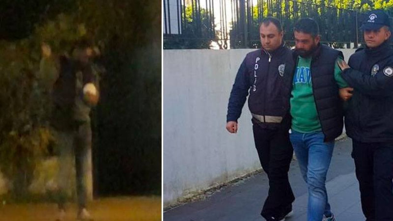 Yavru köpeği ısırıp döven kişi gözaltına alındı